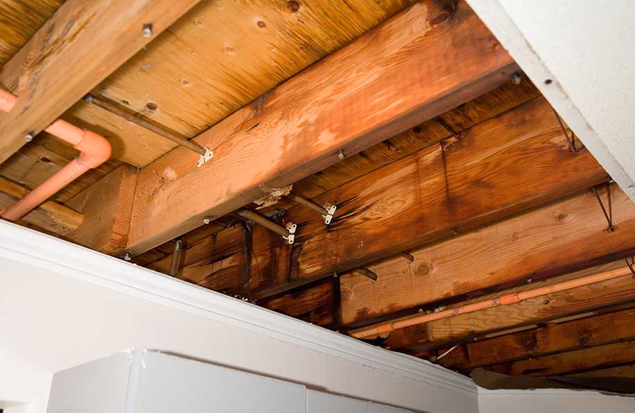 Wood Rot in Floor Joists
